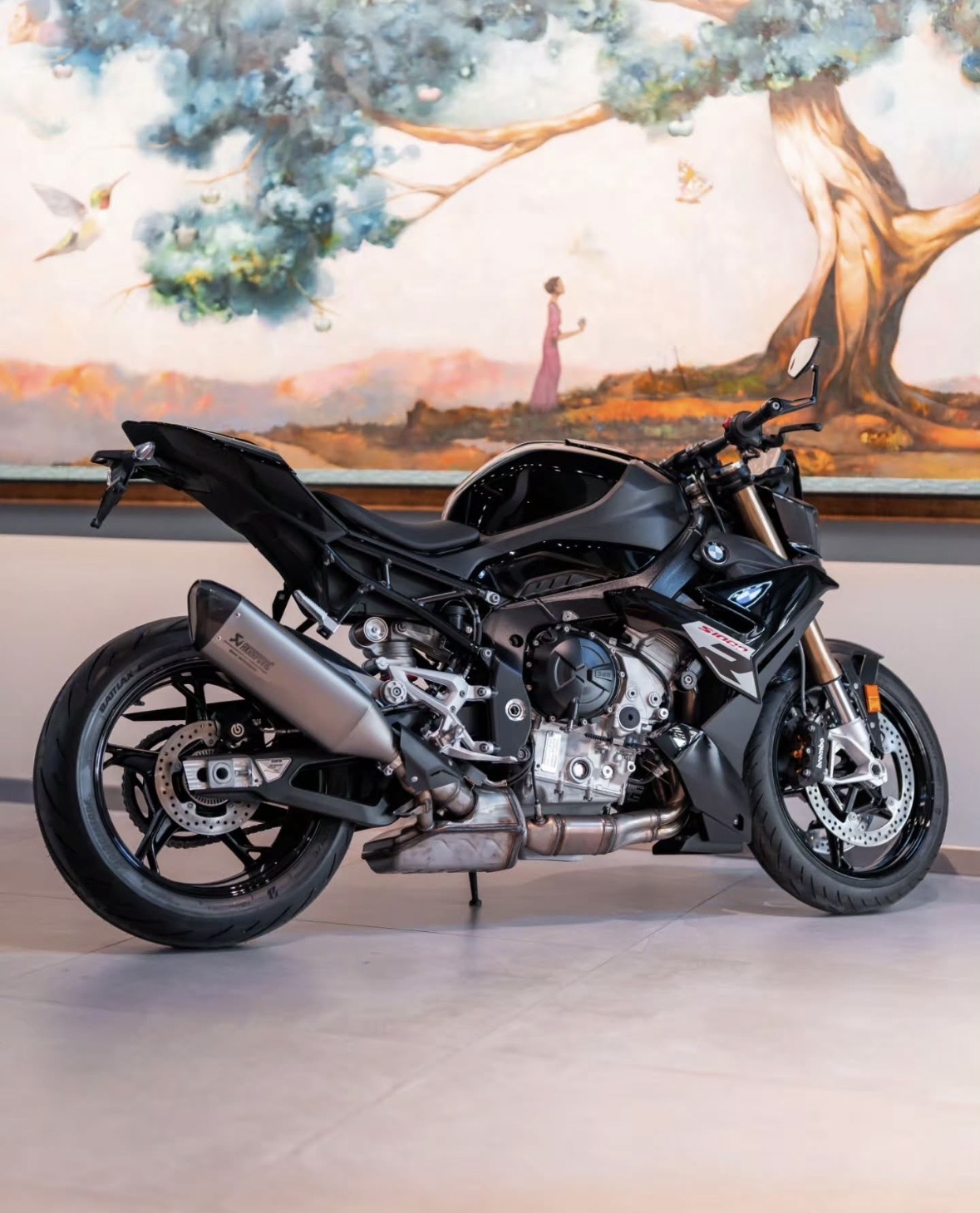BMW S 1000 R — Azərbaycan (2)