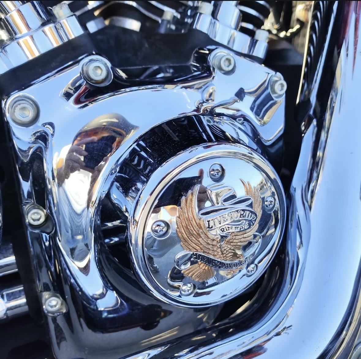 Harley Davidson FLSTC — Azərbaycan (5)