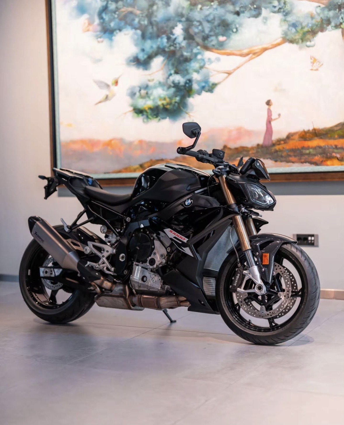 BMW S 1000 R — Azərbaycan (3)