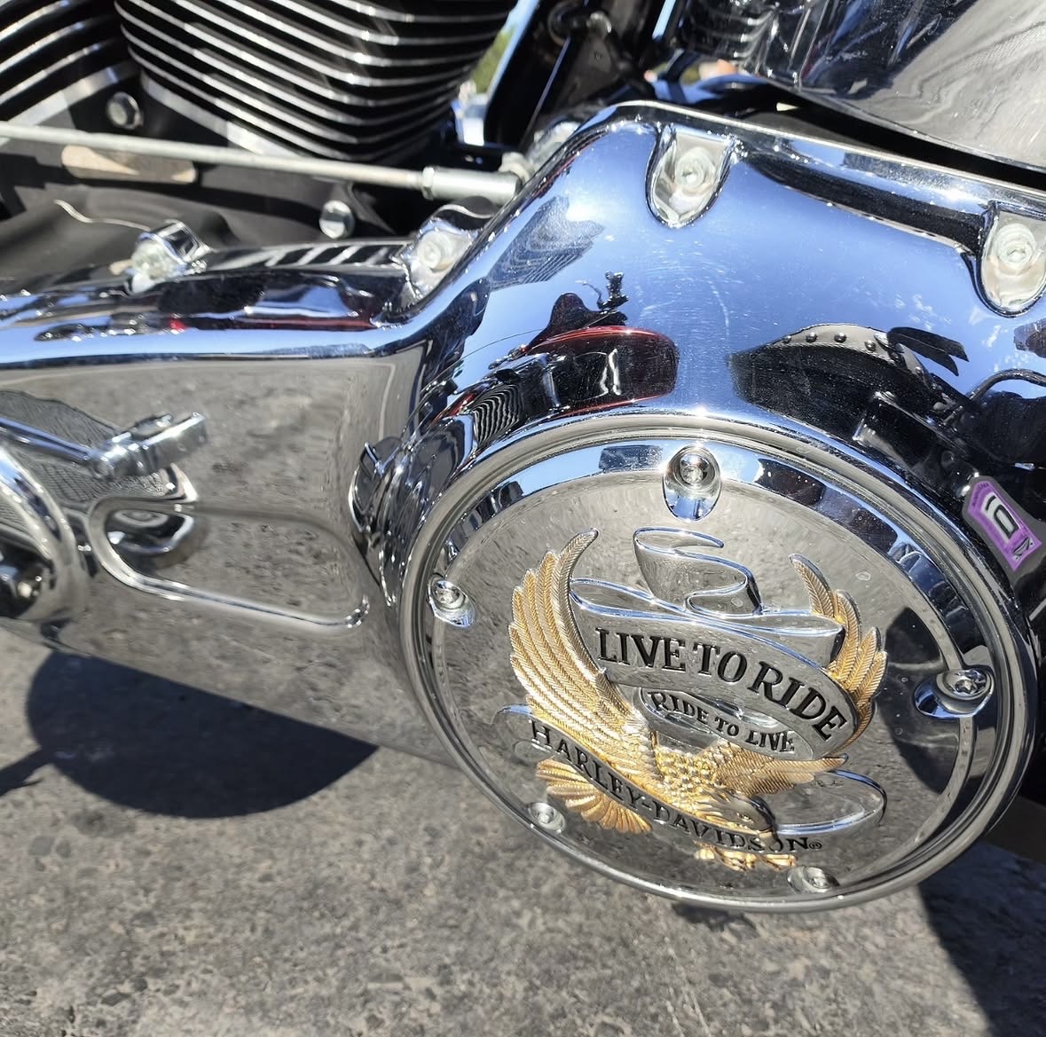 Harley Davidson FLSTC — Azərbaycan (6)