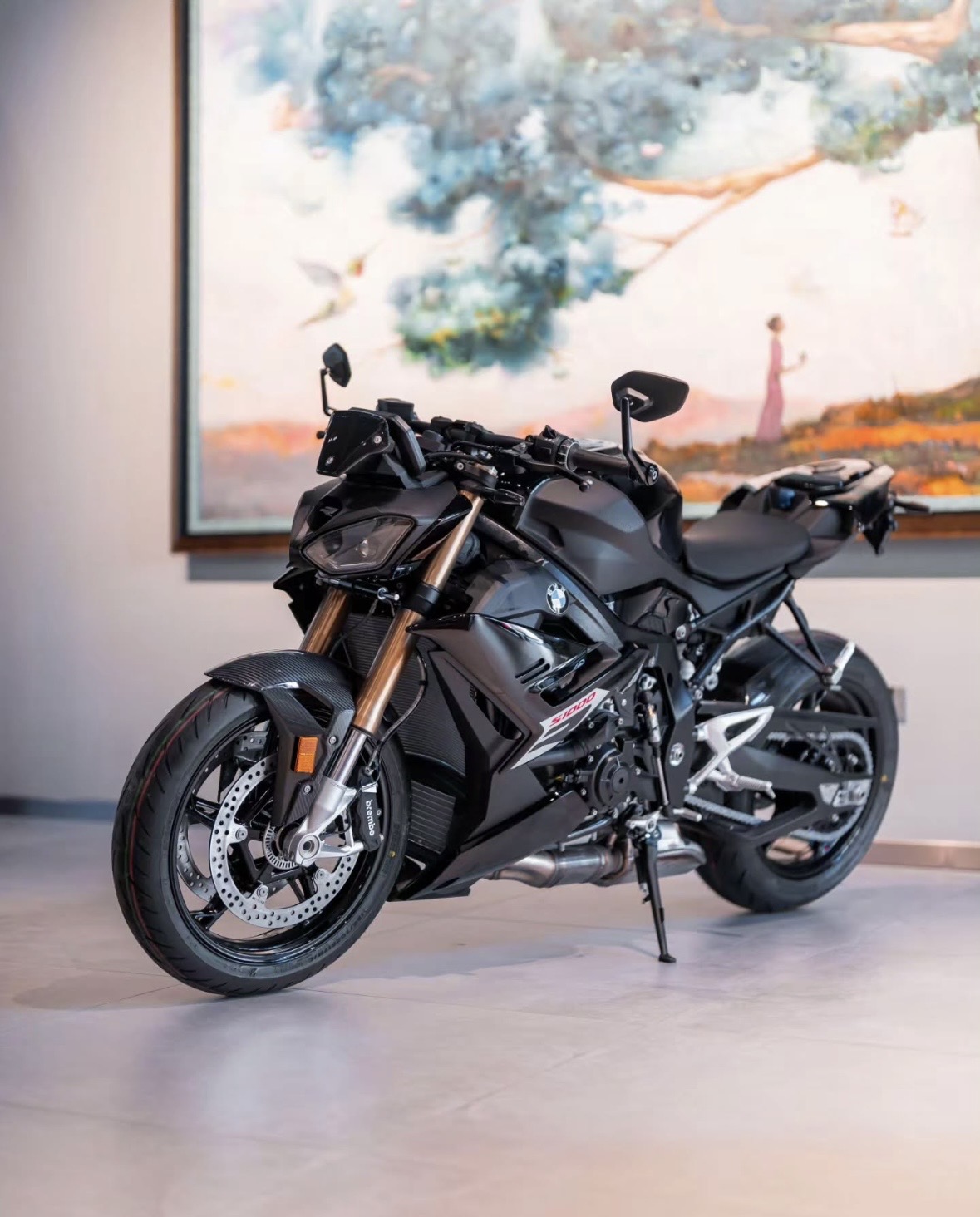 BMW S 1000 R satılır Azərbaycan